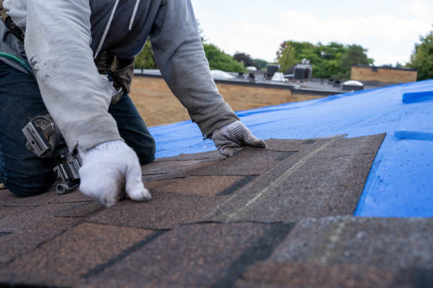 Best Roof Gutter Cleaning  in Moreauville, LA